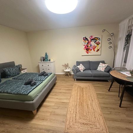 Litzi Apartment بادن بادن المظهر الخارجي الصورة